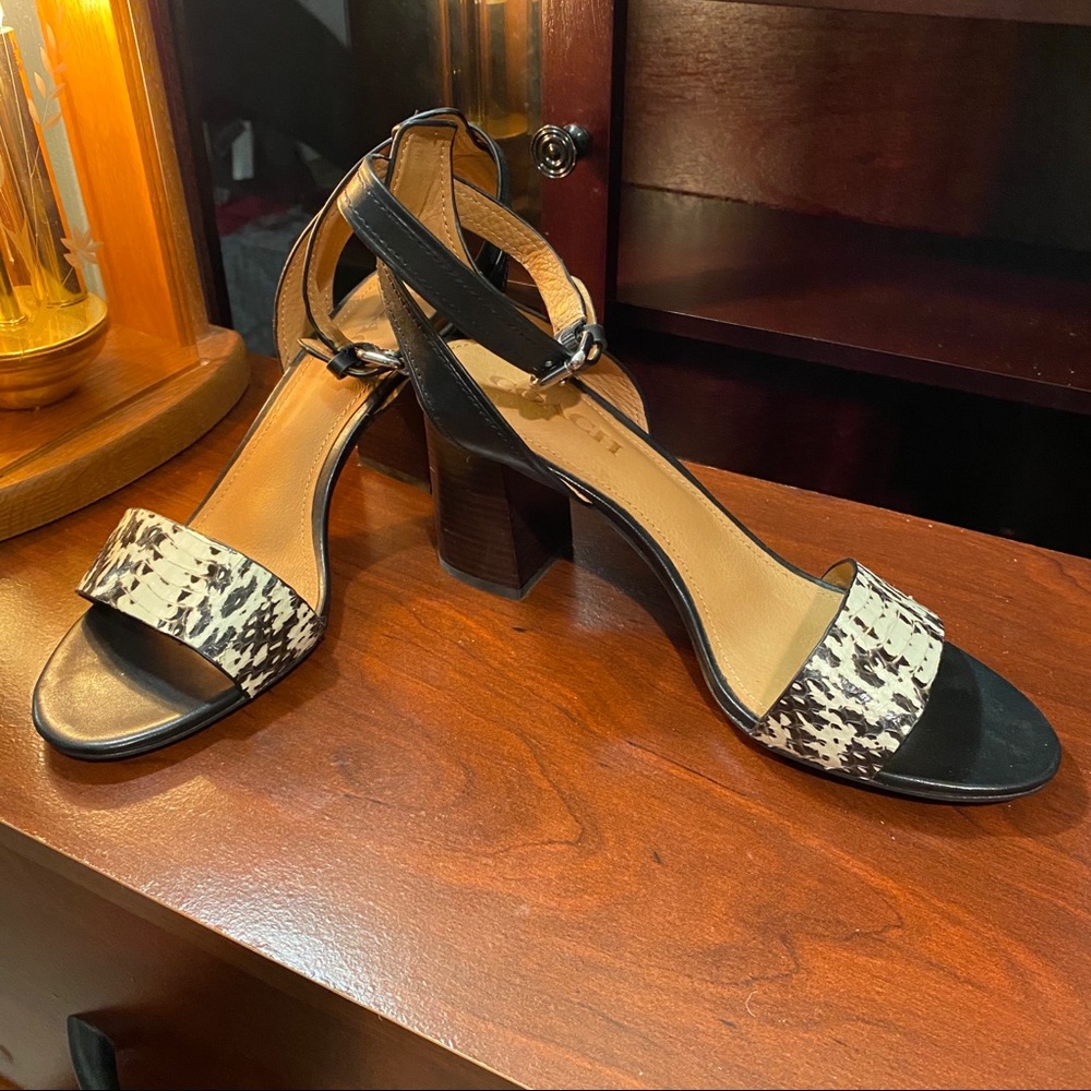Coach Heels with Snakeskin Embossed Leather